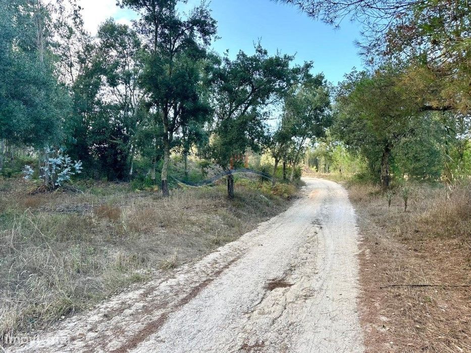 Terreno Florestal - Serra Porto de Urso.