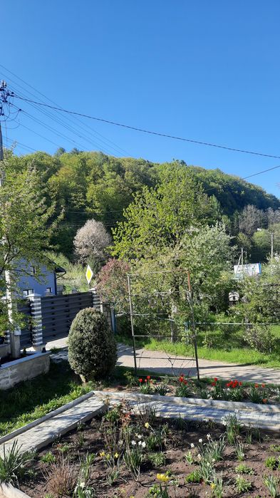 Апартаменти в Яремчі