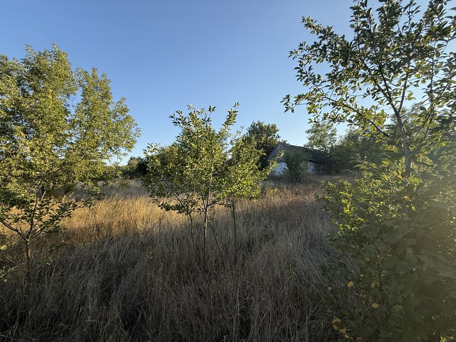 Продам будинок Сурсько-Литовське