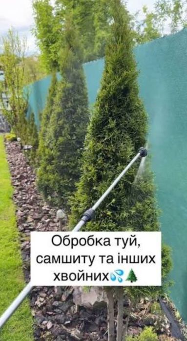 Обработка туй и газонов