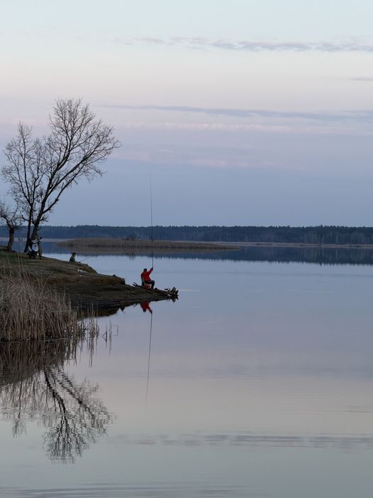 Здається котедж. Подобово, оренда.