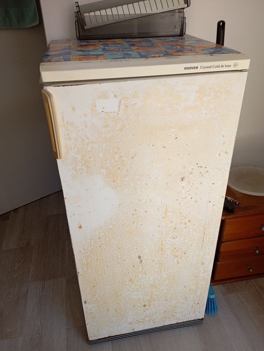 Frigorífico e sofá cama 2 lugares