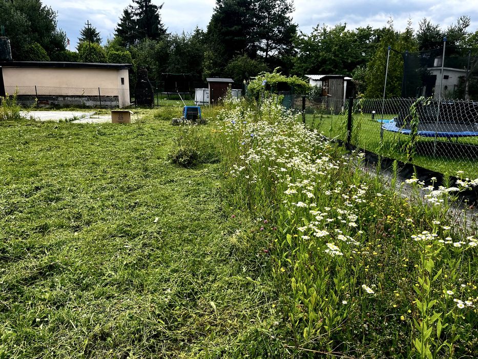 Ogrodek dzialkowy  w centrum Katowic ul. Bocheńskiego.
