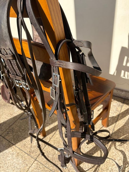 Sela Zaldi Lusitanus 17,5” + Conjunto Completo de Equitação