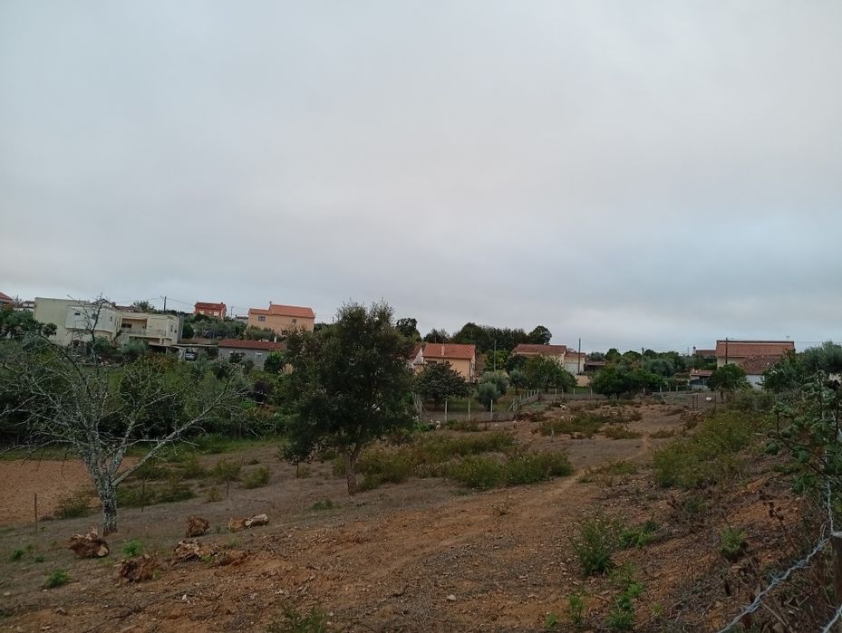 Quinta com moradia para recuperar