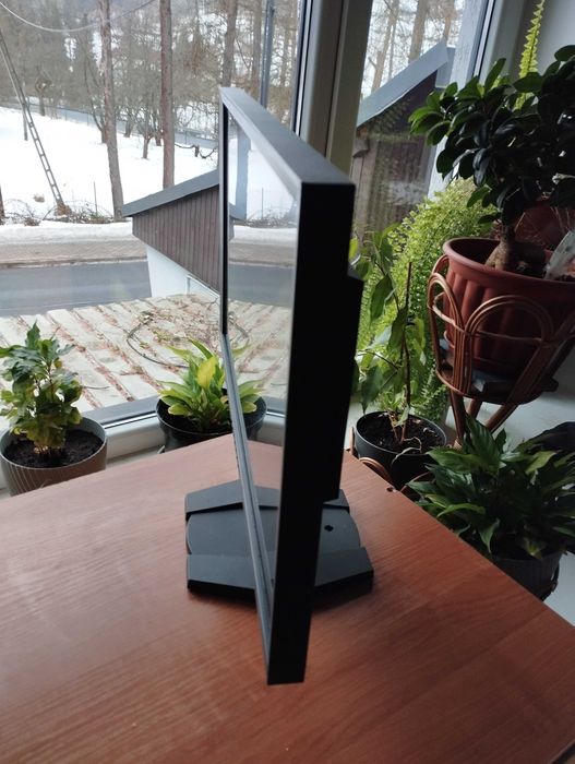 Monitor Eizo Foris FG2421PL czarny