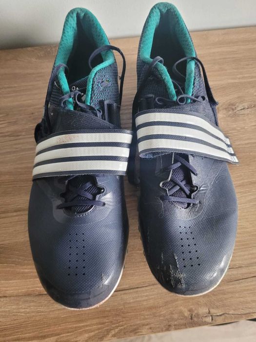 Kolce skoczka wzwyż