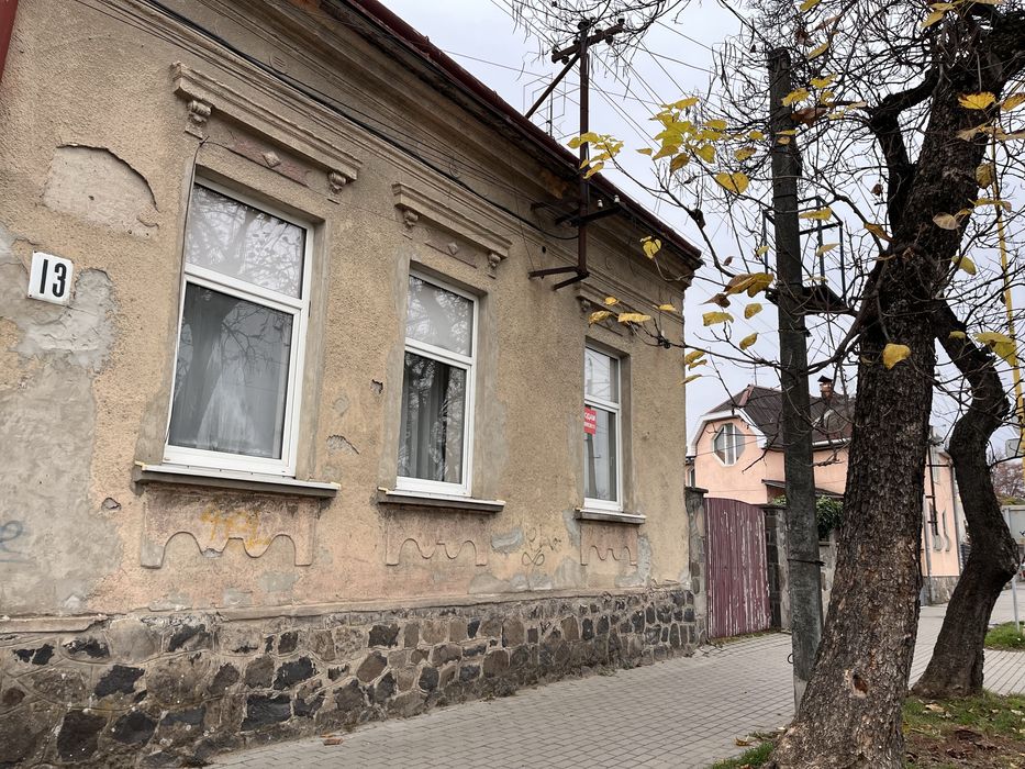 Будинок з потенціалом під житло чи бізнес рн вул. Руськоі