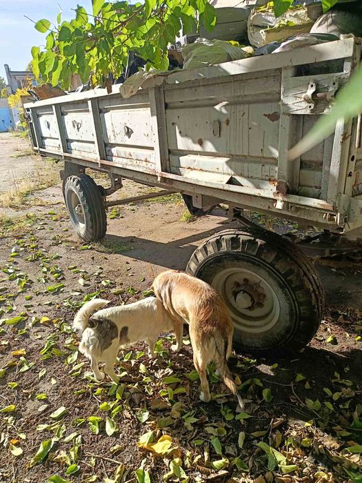 Причіп прицеп тракторний 2ПТС-4