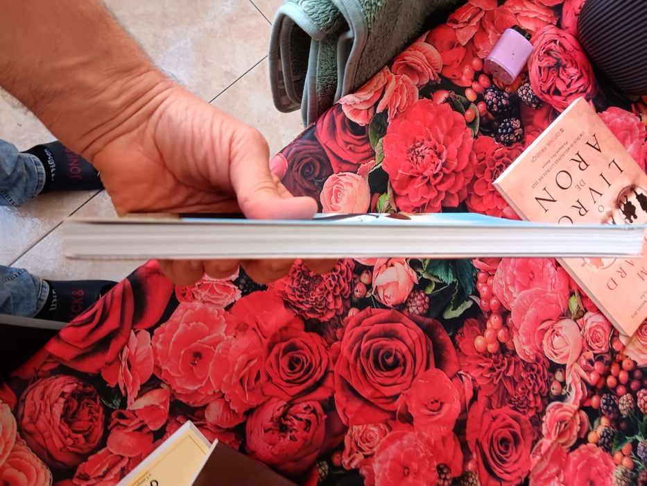 Não te deixarei morrer David Crockett