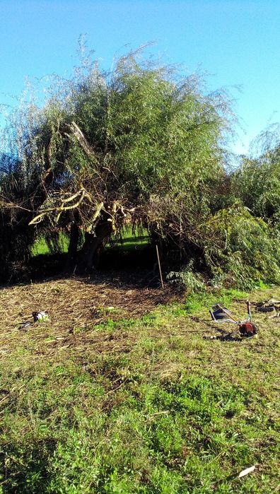 Limpeza de Terrenos, Quintas, Jardins, etc com Roçadora