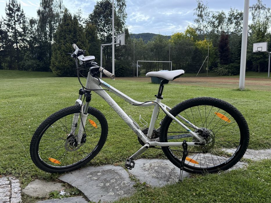 Rower Giant damski 26”