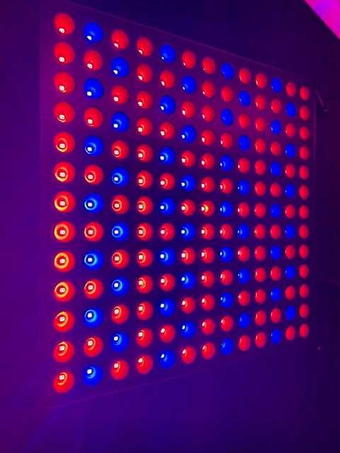 Nowe Lampy LED Grow do uprawy roślin