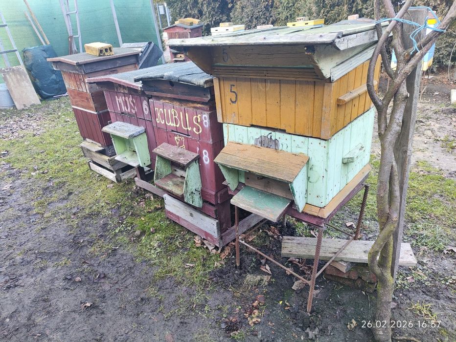 Ule drewniane ul pasieka