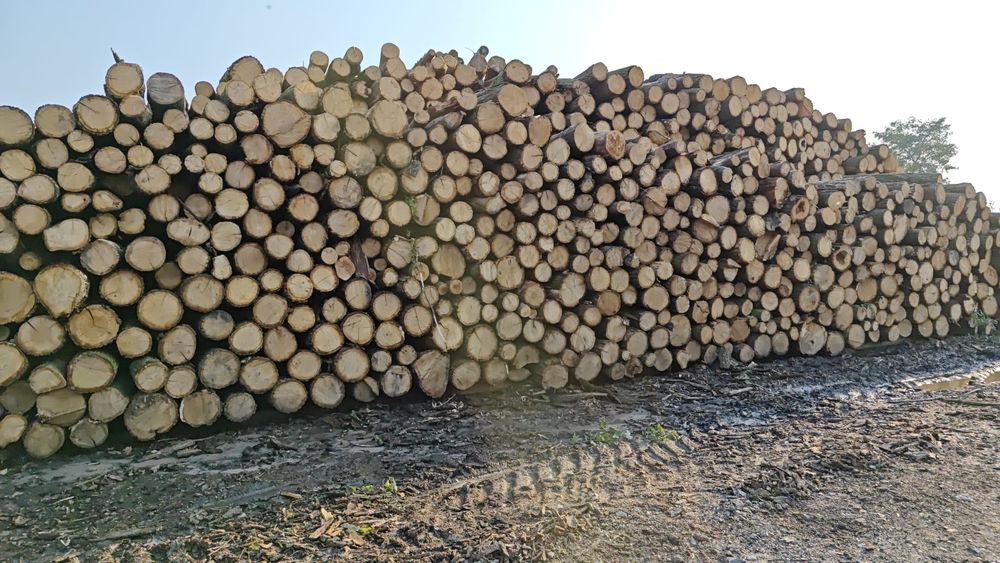 Drewno kominkowe, drewno opałowe