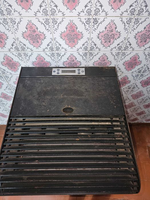 Salamandra a Pellets isolada