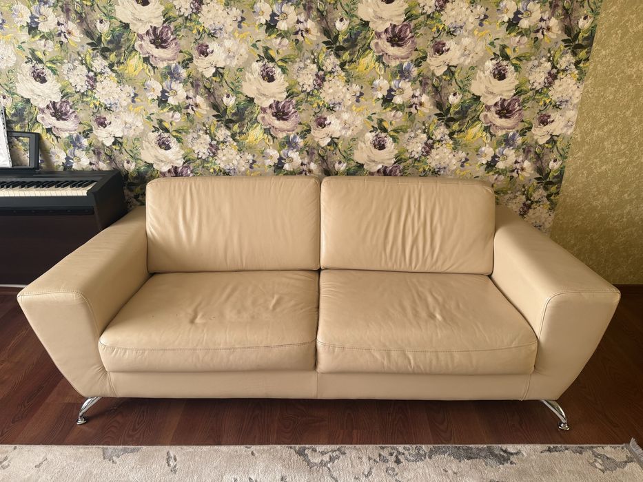 Дивани шкіряні бв