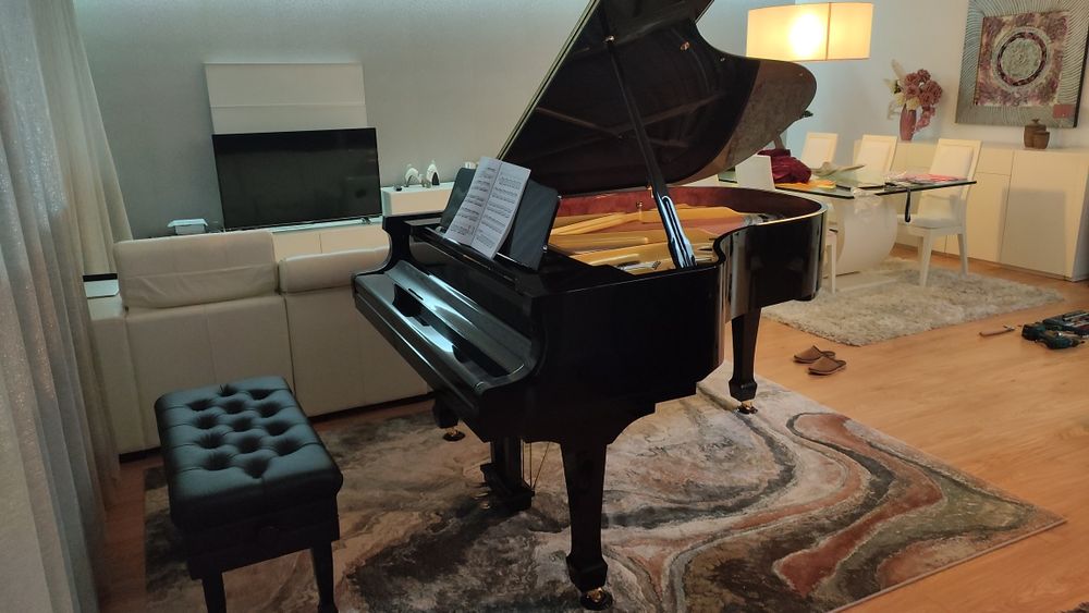 Piano de 1/2 cauda *NOVO*