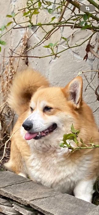 Очень арасивач яркая девочка Лиза