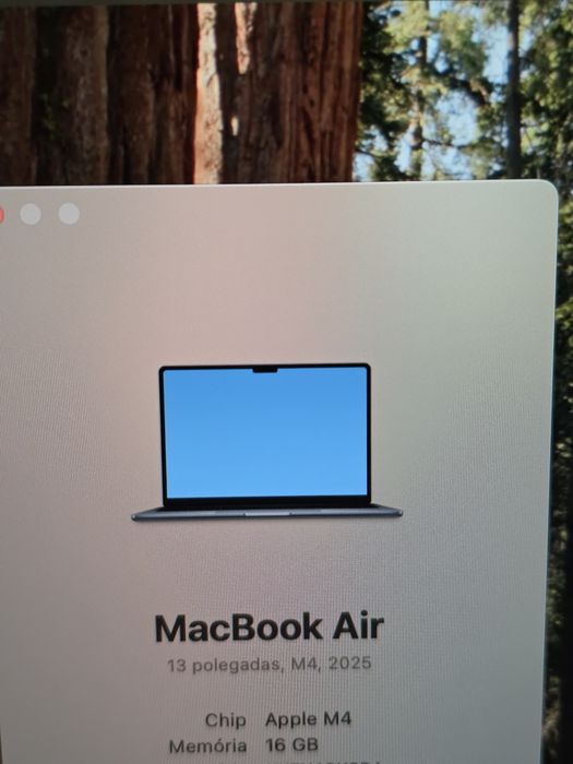 Macbook Air 13.6 M4 16GB/512GB 10 cores