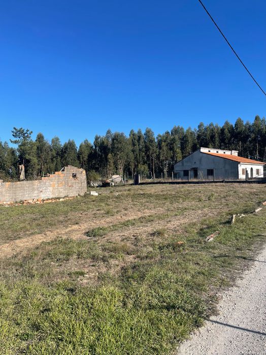 MORADIA TÉRREA Isolada na Mealhada | 6.000 m² de terreno