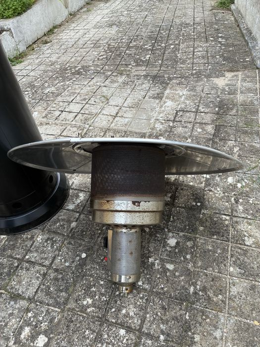 Salamandra de exterior