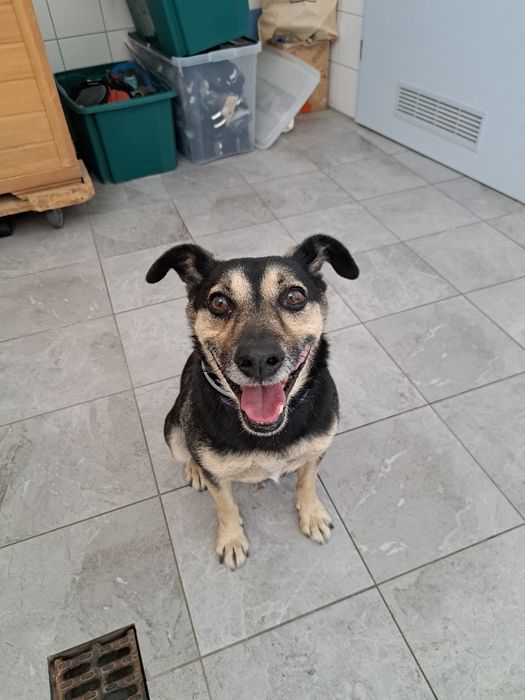 Leon na Ciebie czeka!