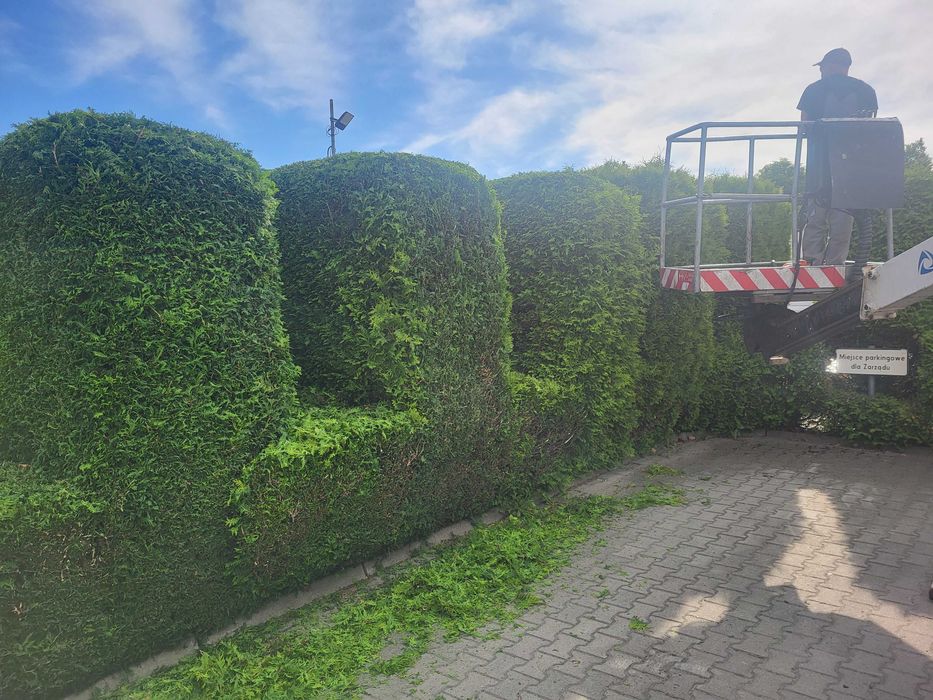 Wycinka drzew, mielenie gałęzi, usługi ogrodnicze,