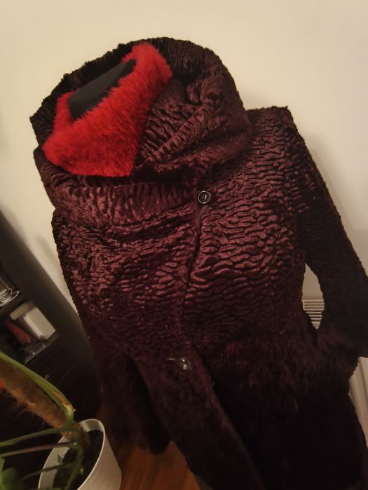 Czekoladowy Płaszczyk Solar