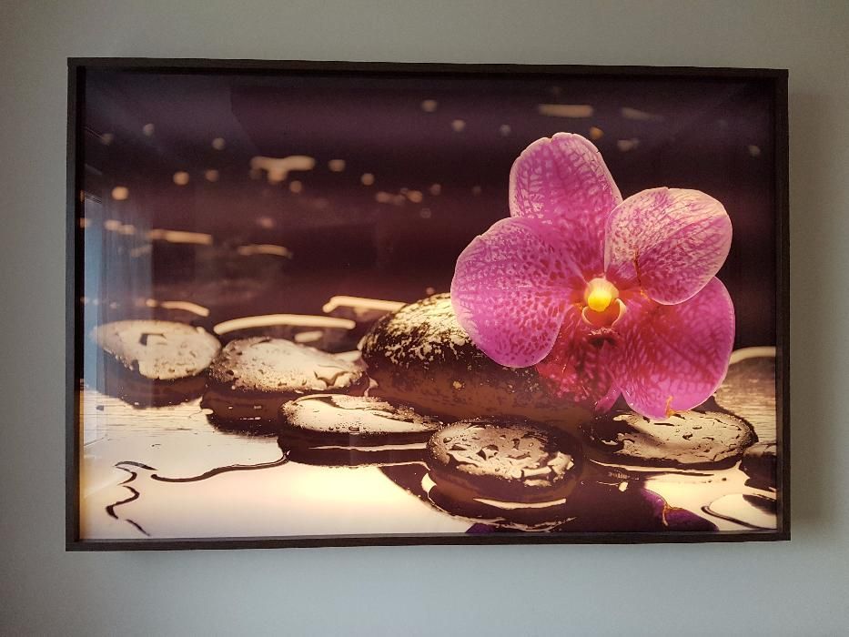 Podświetlana grafika obraz LED lampka nocna unikat