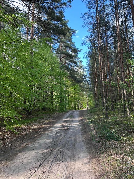 Domki nad Szelągiem Mazury 2026 Domki nad jeziorem Ostróda