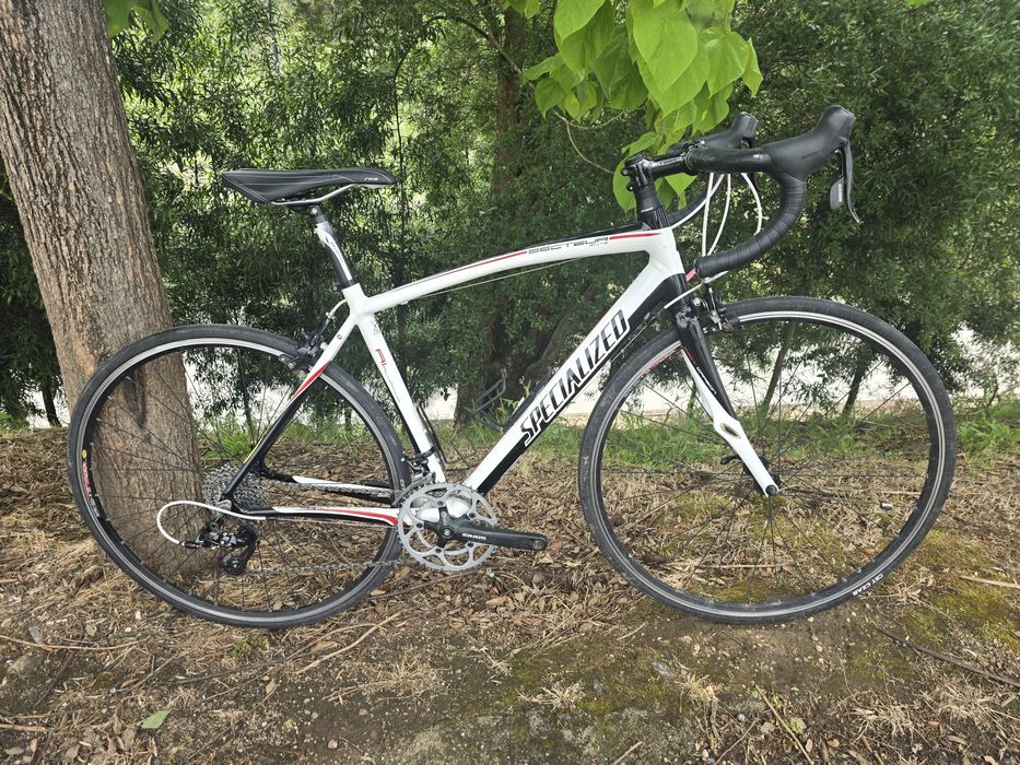 Specialized secteur m 10x2v