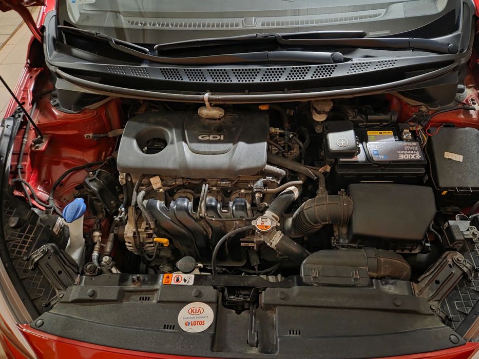 Kia Ceed KIA CEED 1,6 Bezwypadkowy Salon Polska, 31tyś km