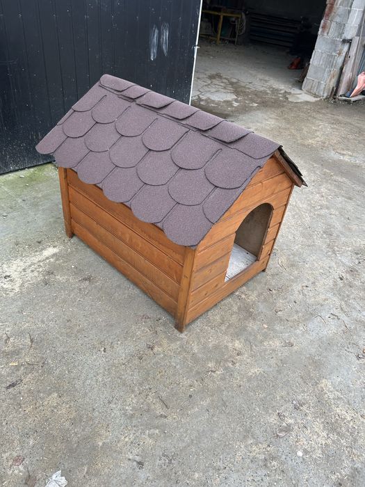 Buda     dla    psa.