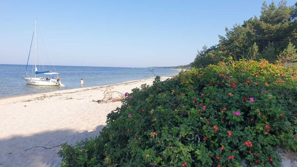 Tango 780 zostań Właścicielem jachtu  o nieprzemijającym uroku+Dostawa