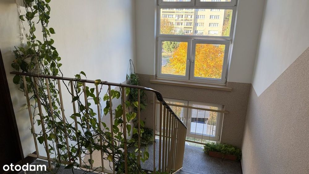 Przytulne, słoneczne 2 pokoje z loggią