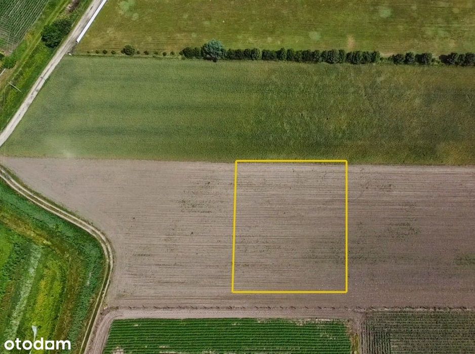 Działka budowlana w urokliwym miejscu przy lesie - Widok 2