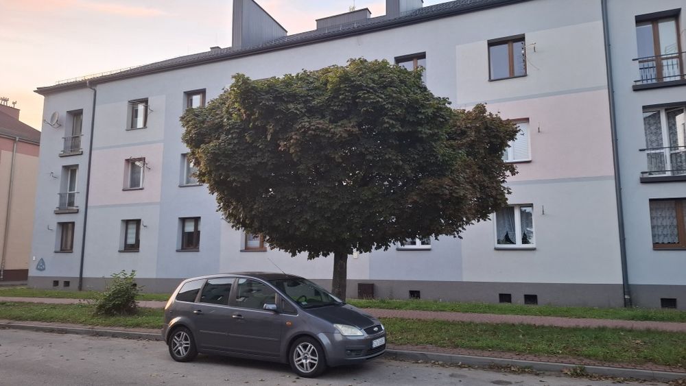 Zdjęcie 8