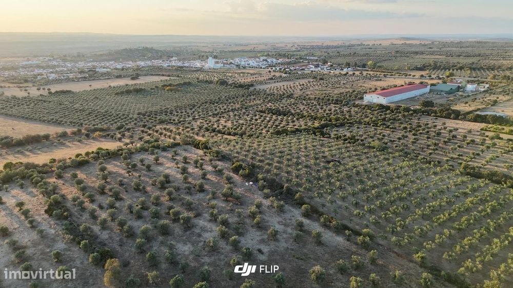 Terreno Rústico com 20.250 m² em Vila Boim, Elvas – Alentejo
