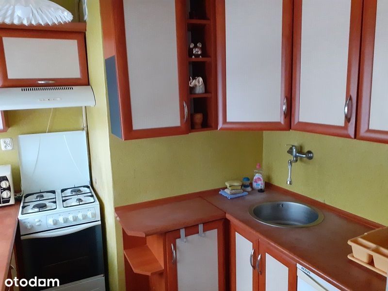 Wynajmę ładną kawalerkę 27m Teofilów - Widok 2