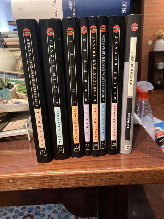 Coleção "Biblioteca Visão" Literatura Internacional – Lote 28 Livros (Capa Dura)