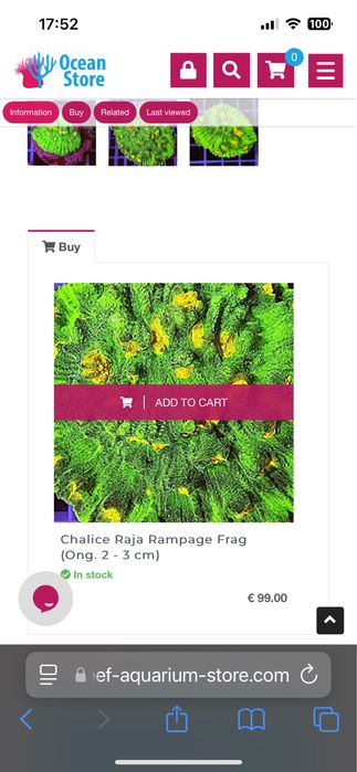 Frag de chalice raja rampage aquario agua salgada