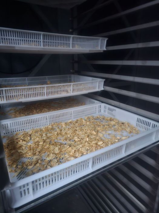 Сушильная камера, сушильна шафа