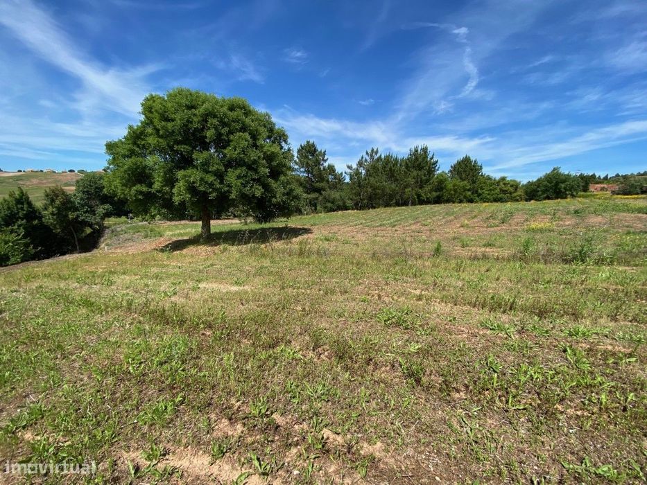 Terreno com 14.993 m2 - Alvorninha, Caldas da Rainha