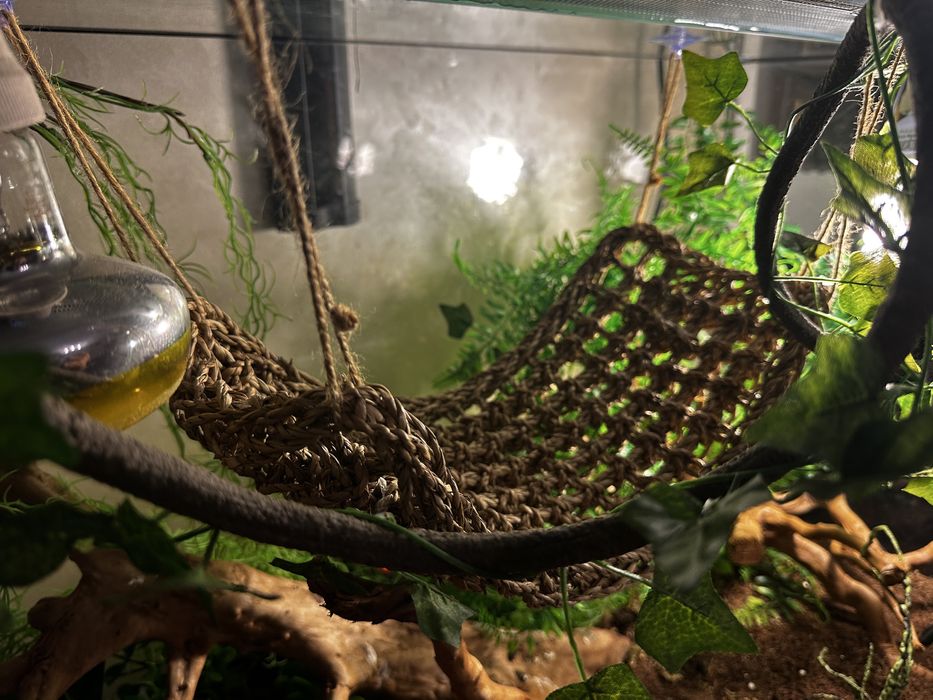 Великий тераріум ТЕРМІНОВО