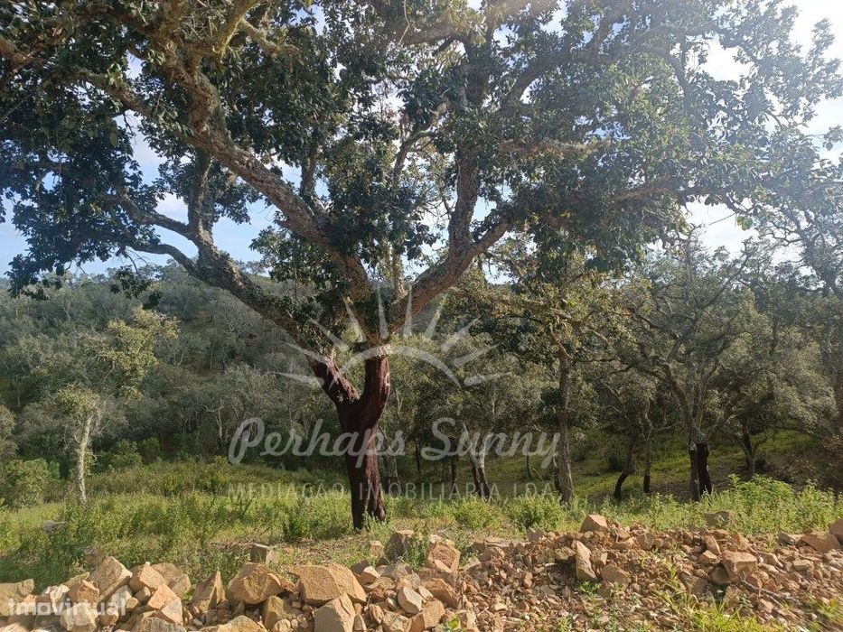 Terreno Rustico São Francisco da Serra