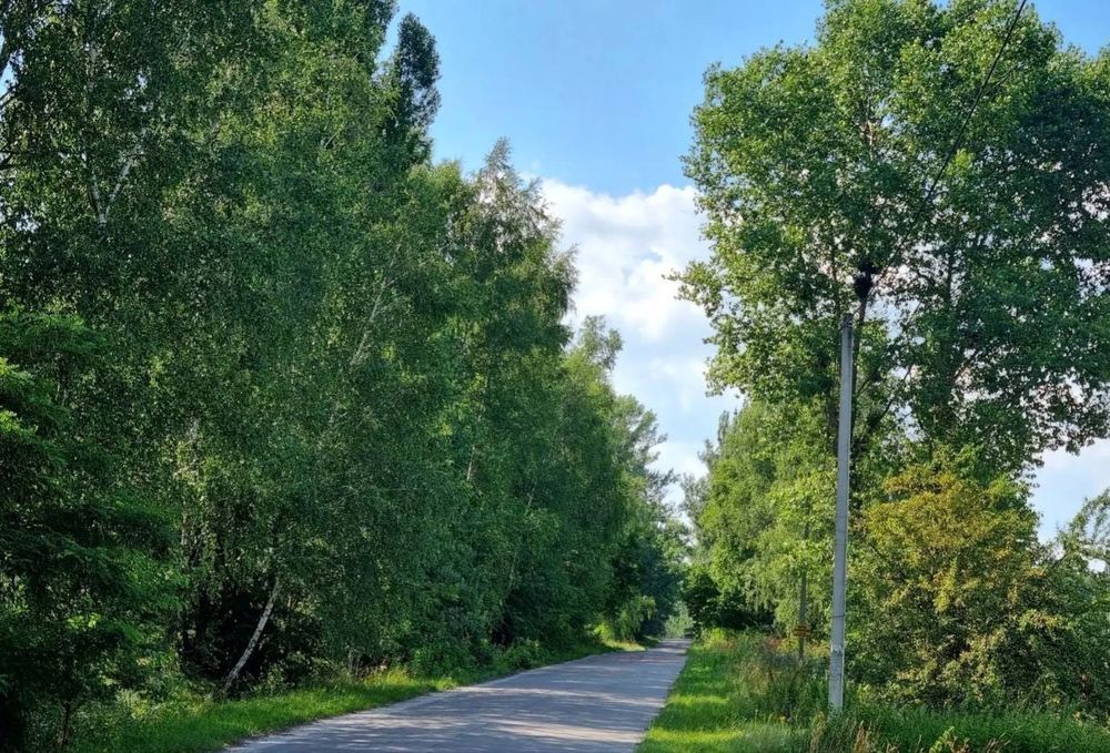 Продаж земельної ділянки 95 соток у сосновому лісі, с. Мостище, Макарівський район,лише 30 км від КП по Житомирській трасі! – pohled 6
