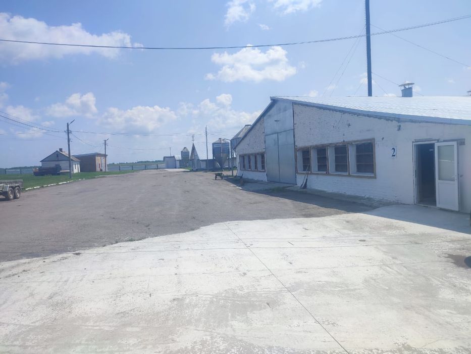 Діючий бізнес. Комплексна бройлерна птахоферма, забійний цех