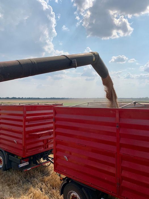 Продам комбайн Палєссє КЗС 1218