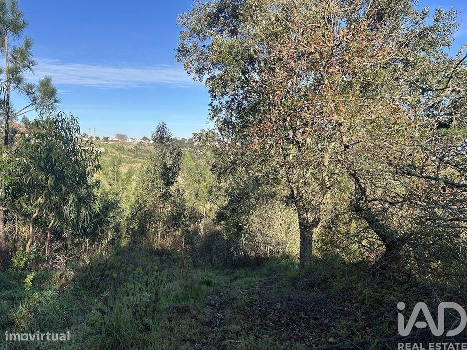 Terreno Agrícola em Mafra